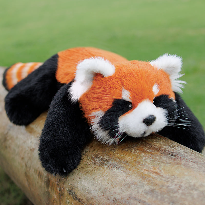Red Panda Weighted Plush – Snuggle Toy for Stress Relief