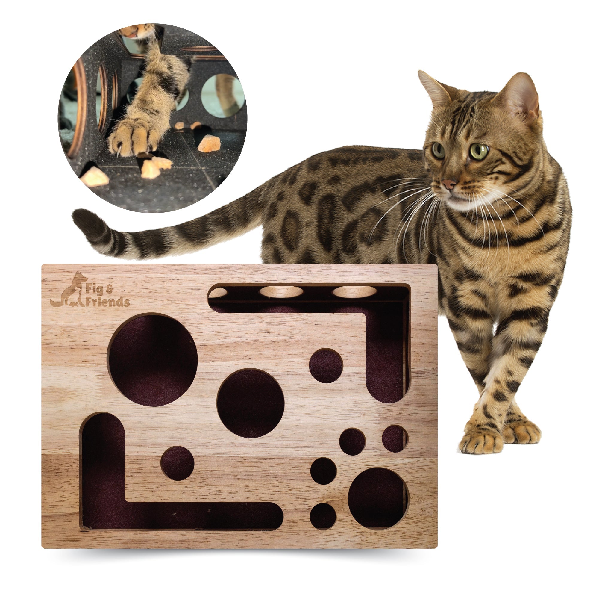 Cat Nail File Enrichment Box