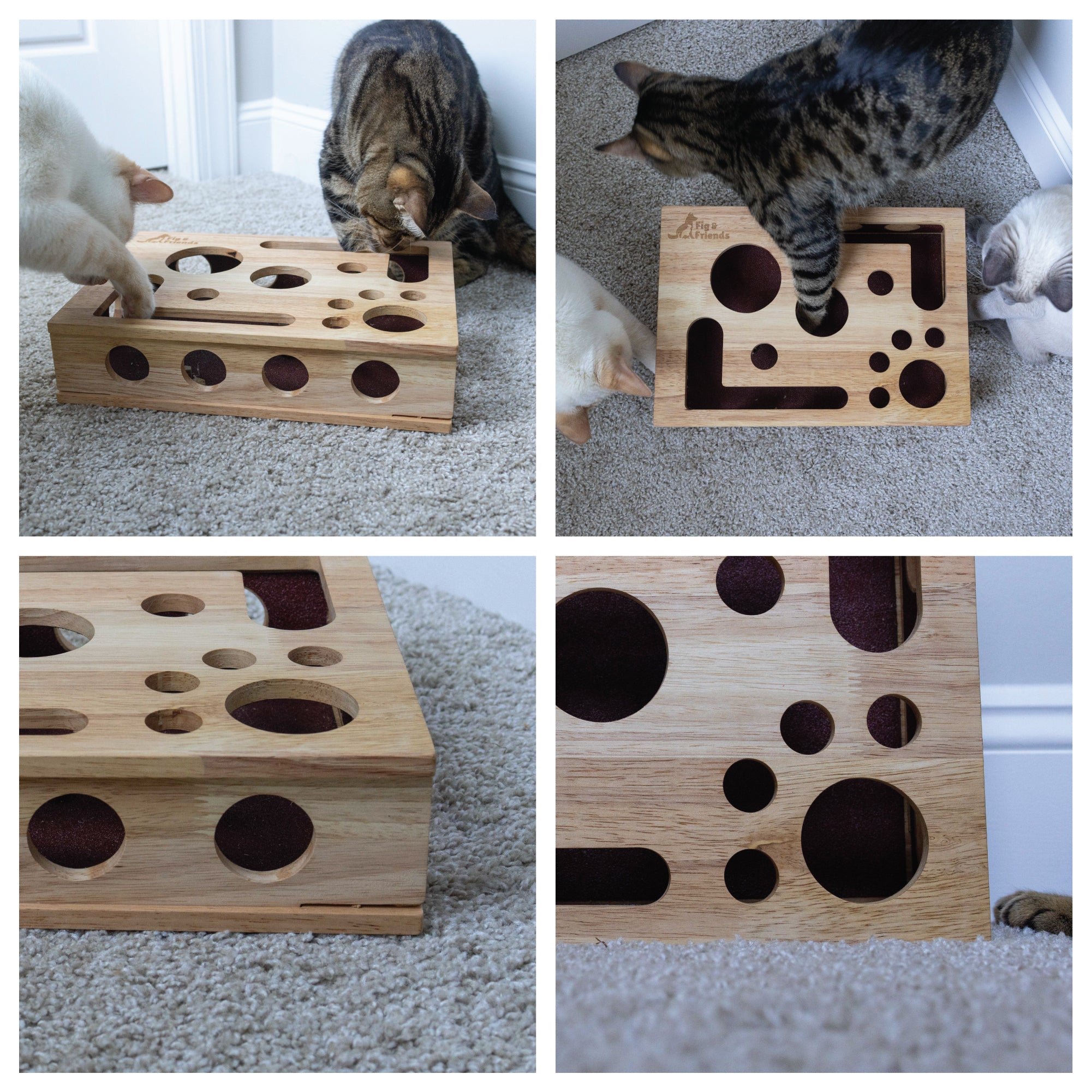 Cat Nail File Enrichment Box