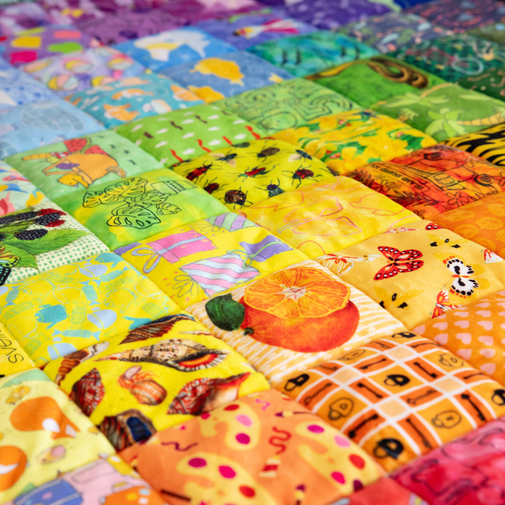 Hidden Pictures Blue Minky Quilt Panel - Original